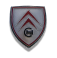 chapron logo